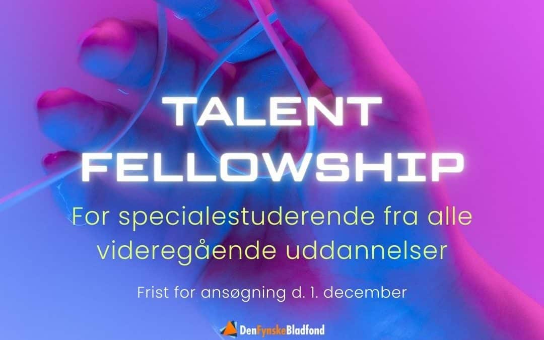 NY RUNDE AF TALENT FELLOWSHIP