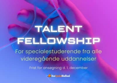 NY RUNDE AF TALENT FELLOWSHIP